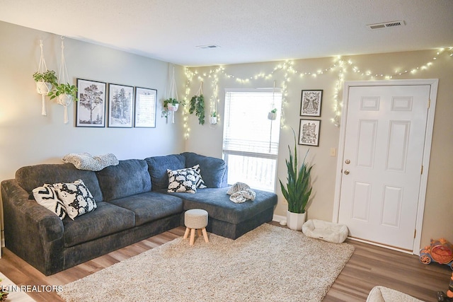 living room with hardwood / wood-style floors and a textured ceiling