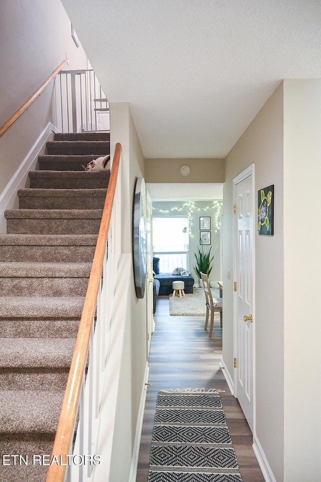 stairway with hardwood / wood-style floors and a textured ceiling