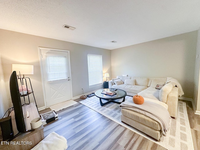 living room with hardwood / wood-style floors