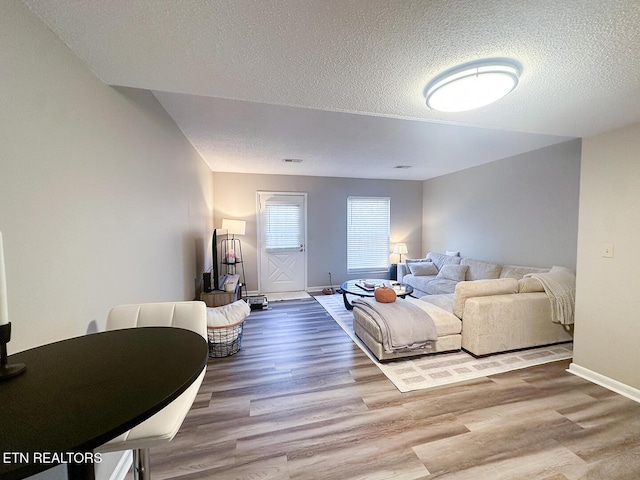 living room with hardwood / wood-style floors and a textured ceiling