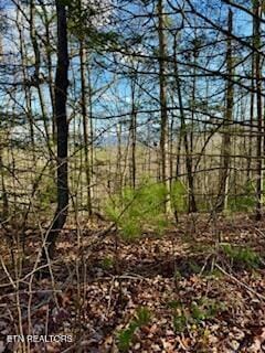 Listing photo 3 for Bull Mountain Rd, Del Rio TN 37727