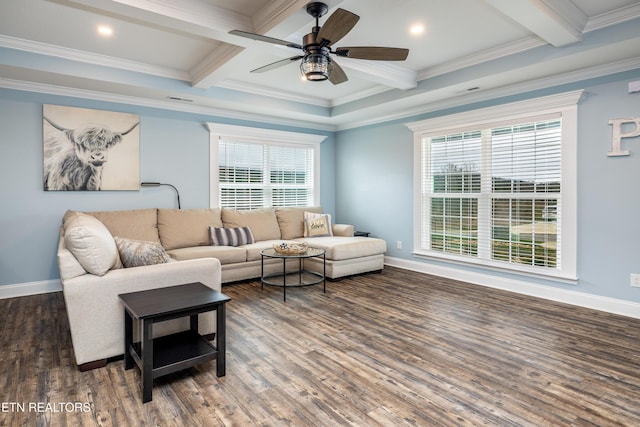 living room featuring plenty of natural light, dark hardwood / wood-style floors, and ornamental molding