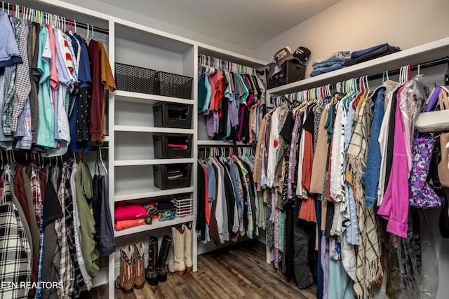 walk in closet featuring hardwood / wood-style flooring