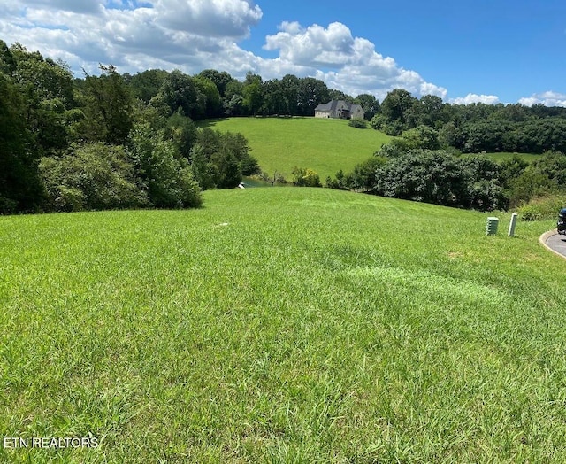 120 Cow Poke Ln, Rutledge TN, 37861 land for sale