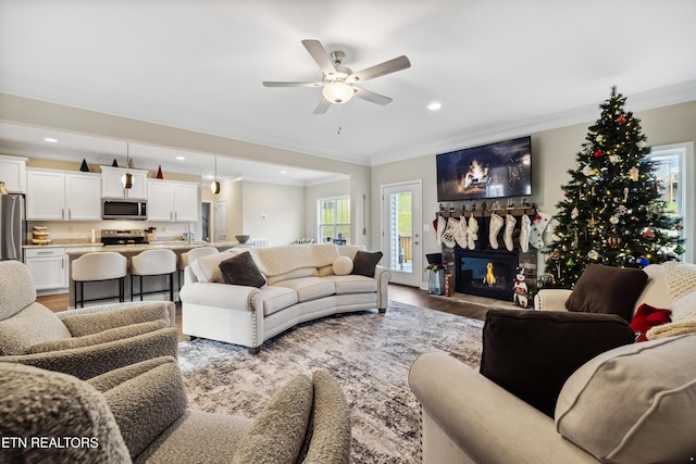 living room with hardwood / wood-style floors, ceiling fan, and ornamental molding