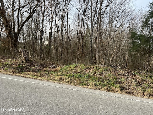 0 N N Main St, Byrdstown TN, 38549 land for sale