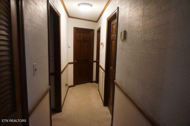 hallway with light colored carpet and ornamental molding