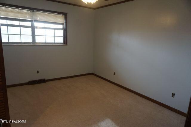 carpeted empty room with ceiling fan and ornamental molding