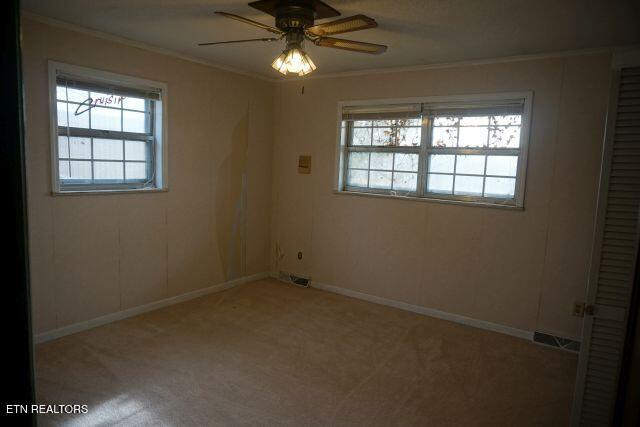 unfurnished room with carpet floors, ceiling fan, and crown molding