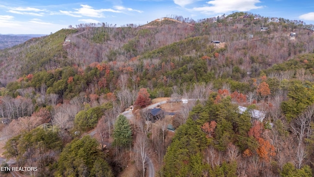 property view of mountains