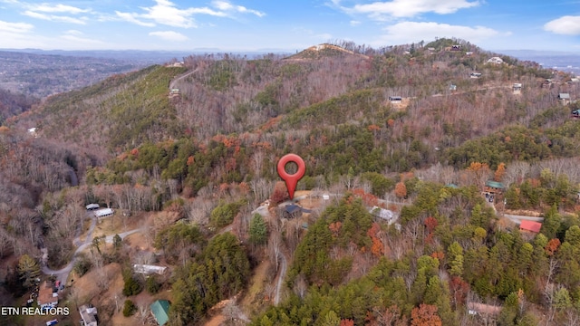 drone / aerial view featuring a mountain view