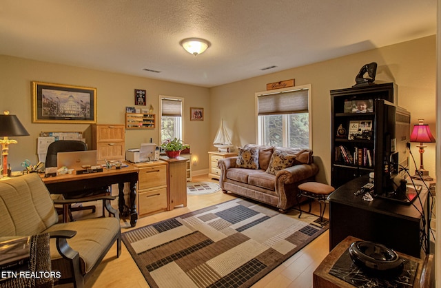 living room featuring a textured ceiling, light hardwood / wood-style flooring, and a wealth of natural light