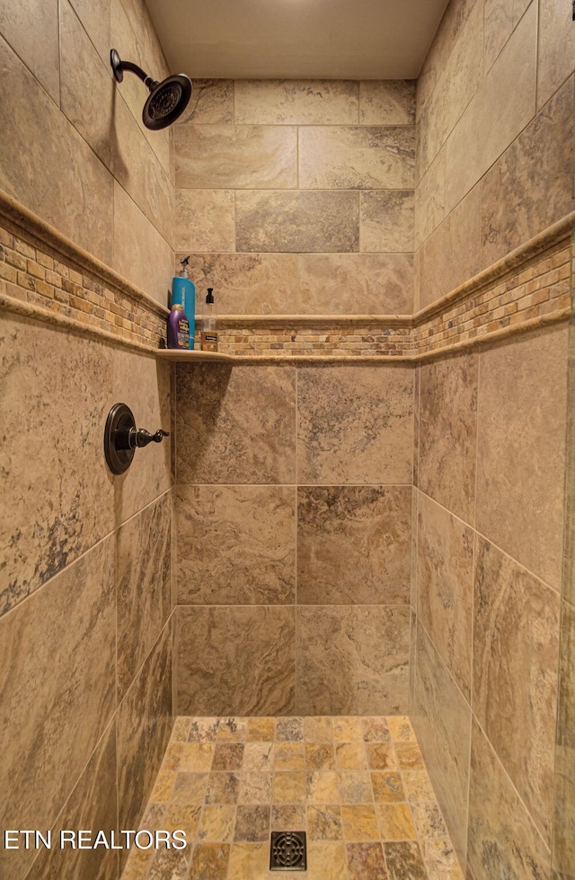 room details with a tile shower