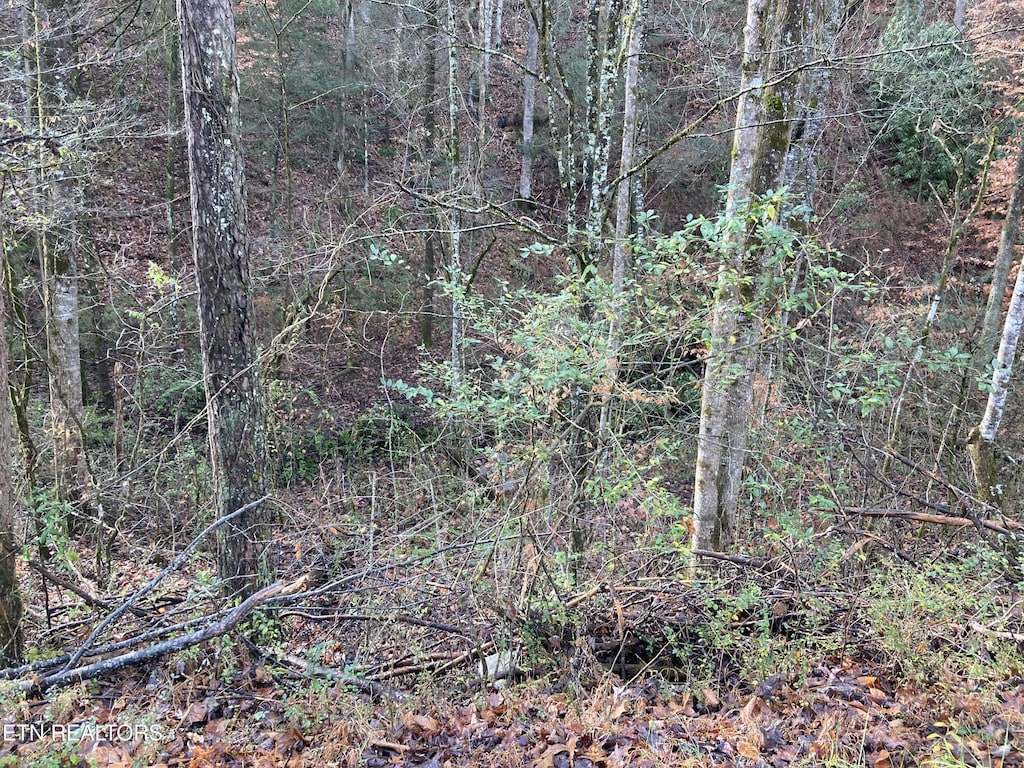 LOT53A Fiesta Blvd, Sevierville, TN 37876 - photo 2