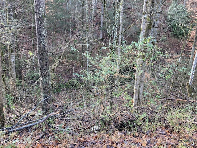 LOT53A Fiesta Blvd, Sevierville, TN 37876 - photo 2