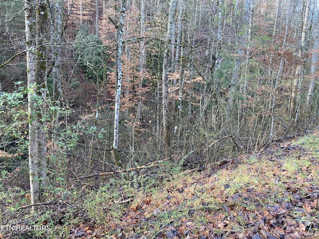 LOT53A Fiesta Blvd, Sevierville, TN 37876 - photo 3