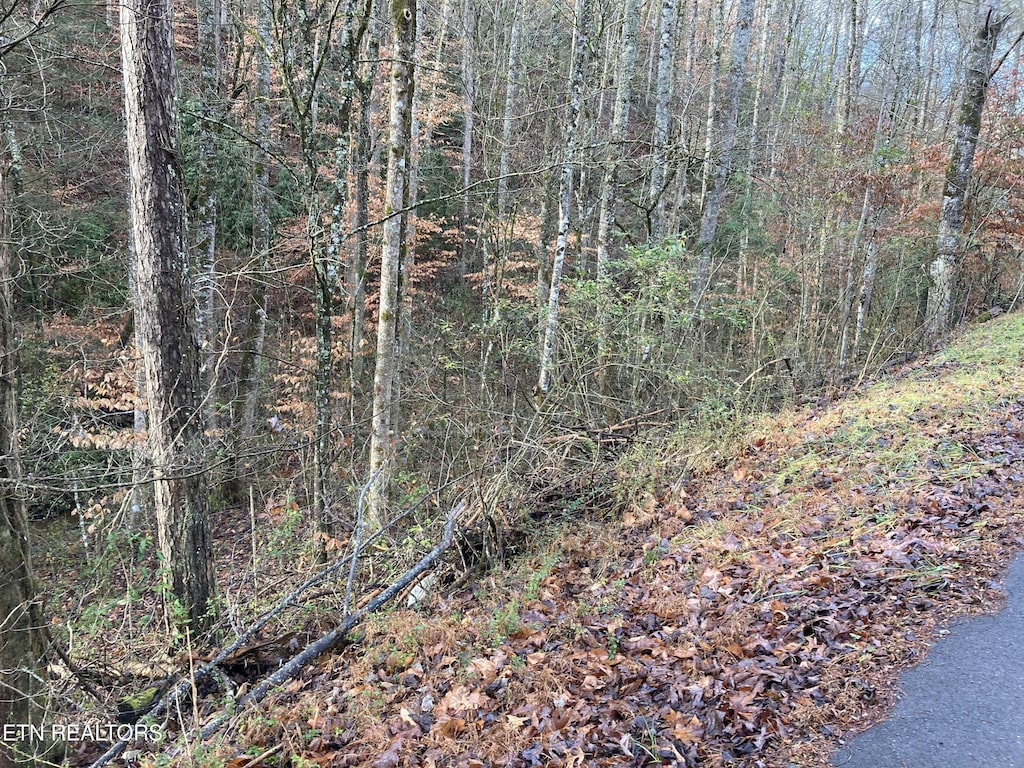 LOT53A Fiesta Blvd, Sevierville, TN 37876 - photo 4