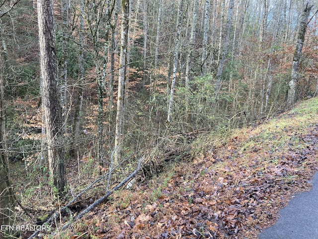 LOT53A Fiesta Blvd, Sevierville, TN 37876 - photo 4