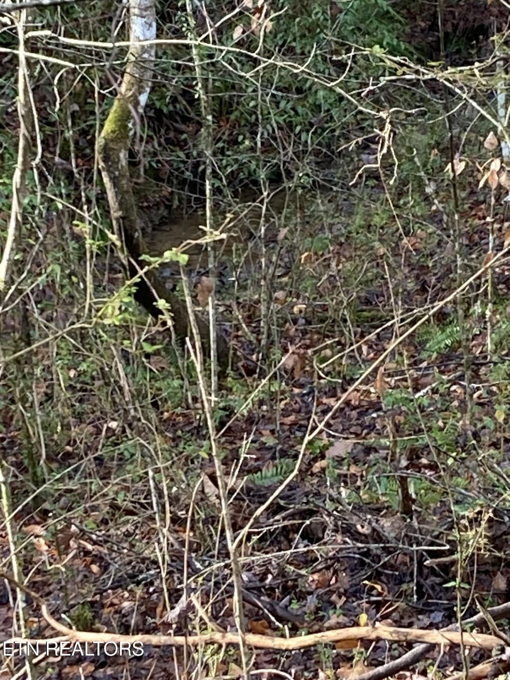 LOT53A Fiesta Blvd, Sevierville, TN 37876 - photo 1