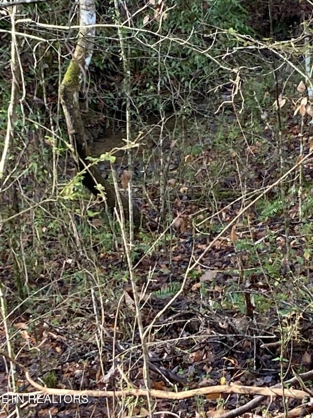 LOT53A Fiesta Blvd, Sevierville, TN 37876 - photo 1