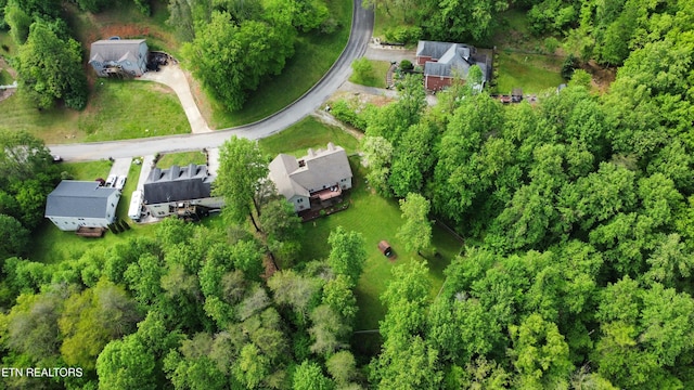bird's eye view