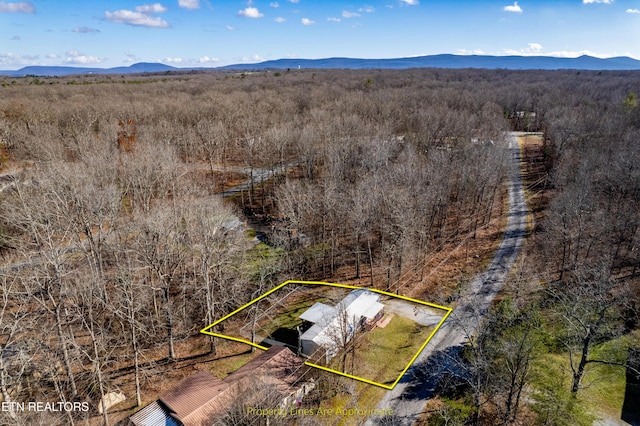 birds eye view of property featuring a mountain view