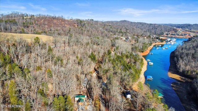 291 Marina Ln, Lafollette, TN 37766 - bird's eye view with a water view