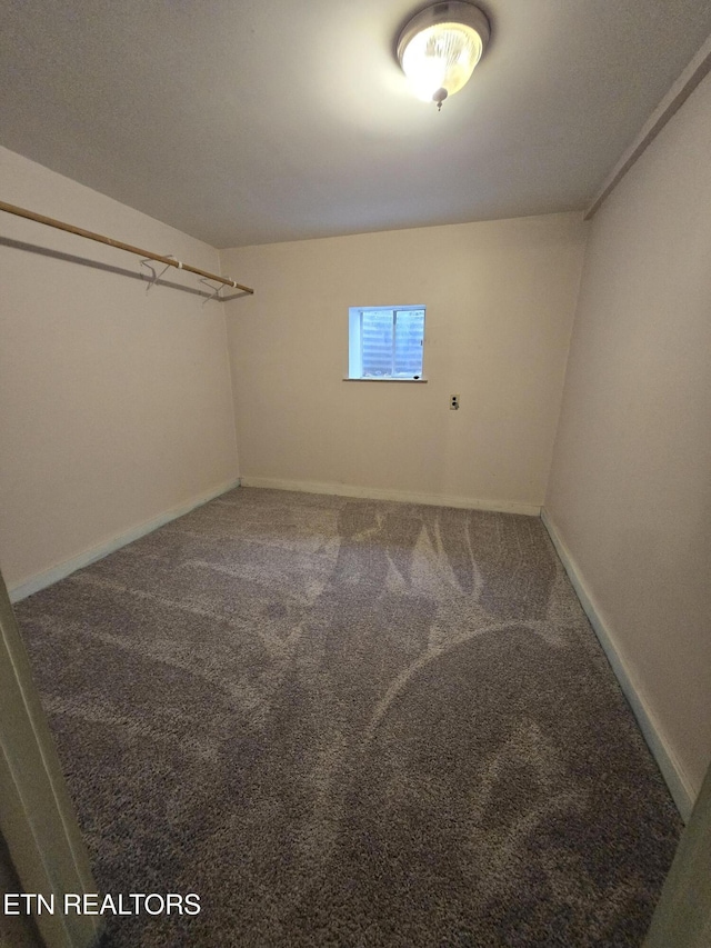 walk in closet with carpet floors