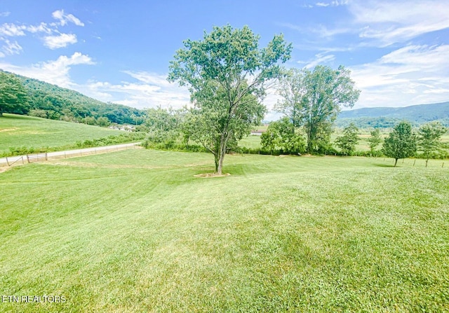 view of yard with a mountain view and a rural view