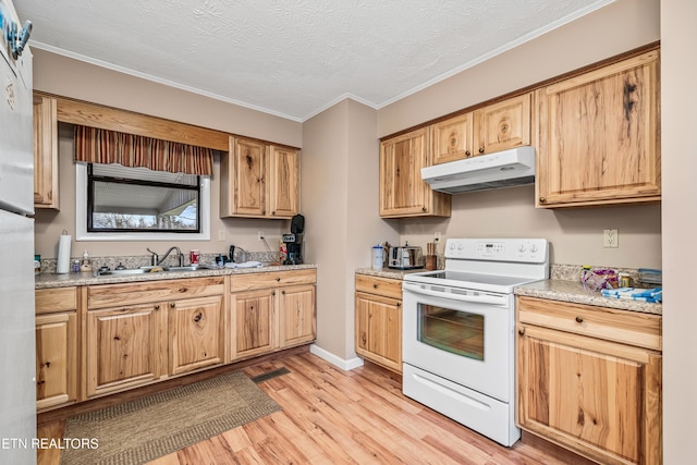 kitchen featuring ornamental molding, white electric range oven, a textured ceiling, sink, and light hardwood / wood-style floors