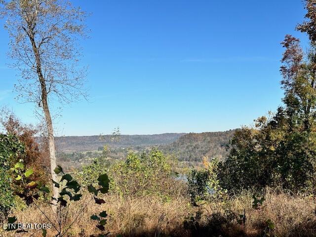 00 Shelley Rd, Gainesboro TN, 38562 land for sale