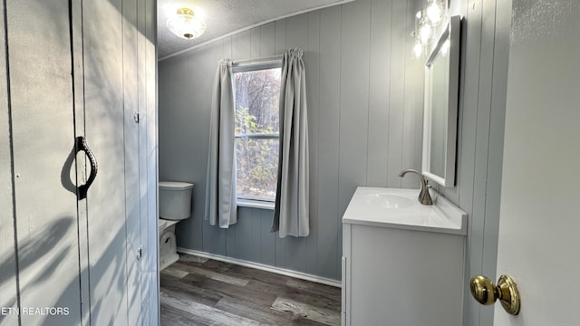 bathroom with hardwood / wood-style floors, vanity, a healthy amount of sunlight, and a textured ceiling