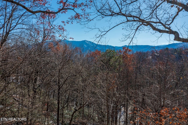 view of mountain feature