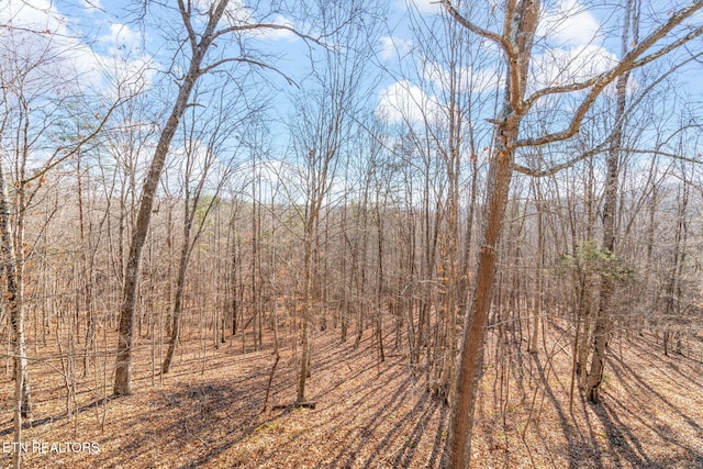 view of local wilderness