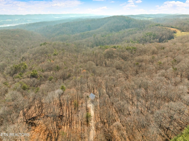 view of mountain feature