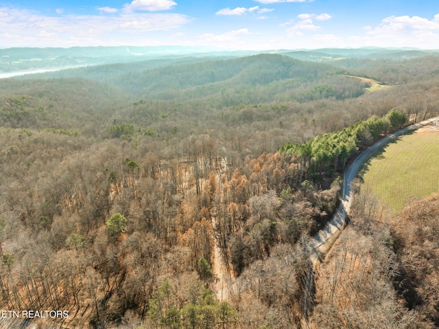 property view of mountains