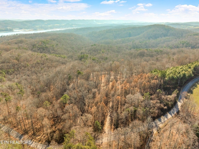 view of mountain feature with a water view