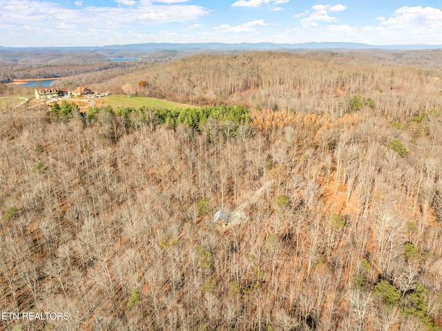 aerial view with a mountain view