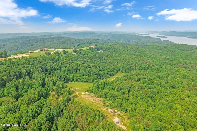 bird's eye view featuring a water and mountain view