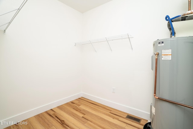 spacious closet with wood-type flooring