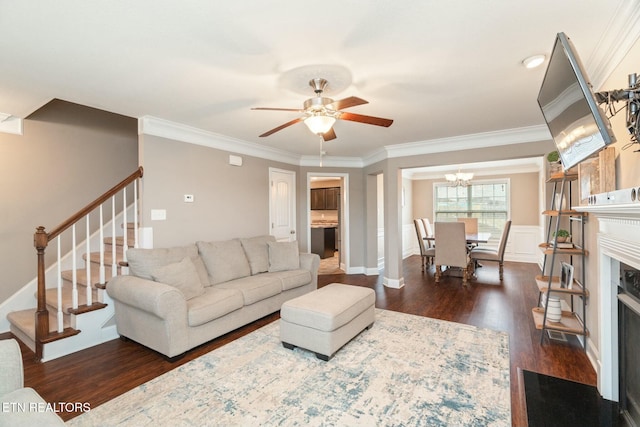 living room with ceiling fan with notable chandelier, dark hardwood / wood-style flooring, and crown molding