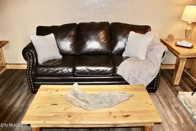 living room featuring wood finished floors