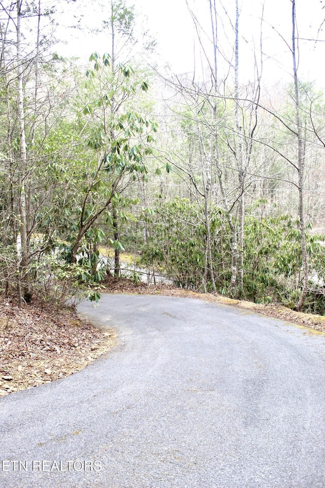 view of road