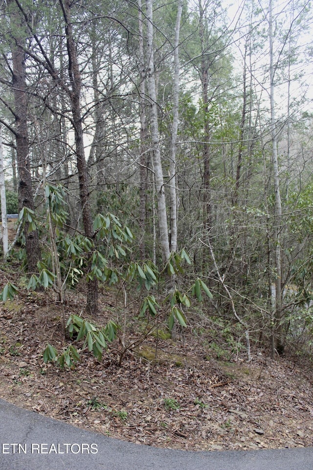 view of landscape