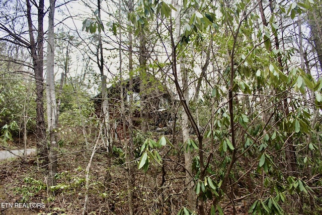 view of nature with a wooded view