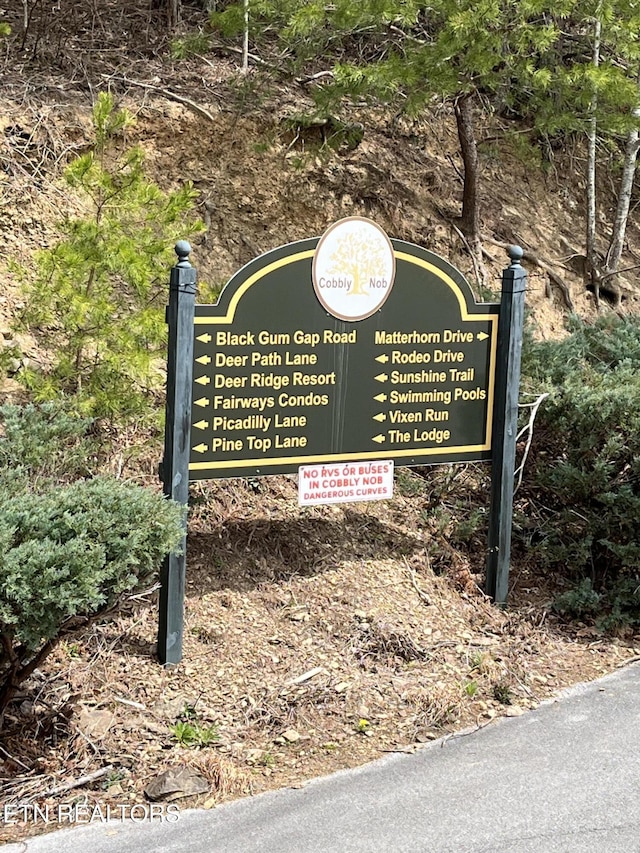 view of details