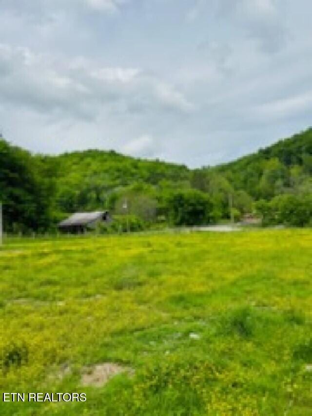 1611 Knob Creek Rd, Celina, TN 38551 - view of yard with a mountain view