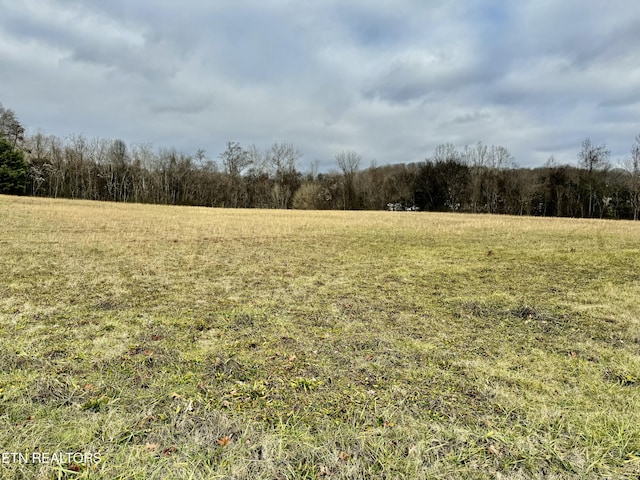 375 S White Pine Rd, White Pine TN, 37890 land for sale