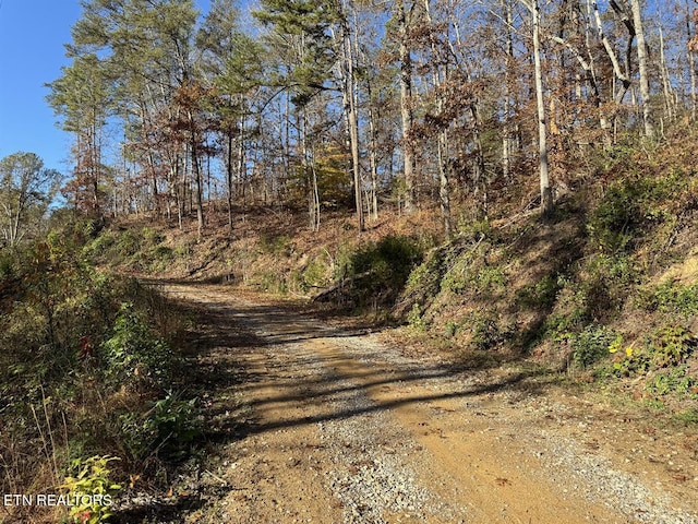 0 Mulberry Way, Sevierville, TN 37876 - photo 1