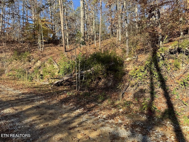 0 Mulberry Way, Sevierville, TN 37876 - photo 2